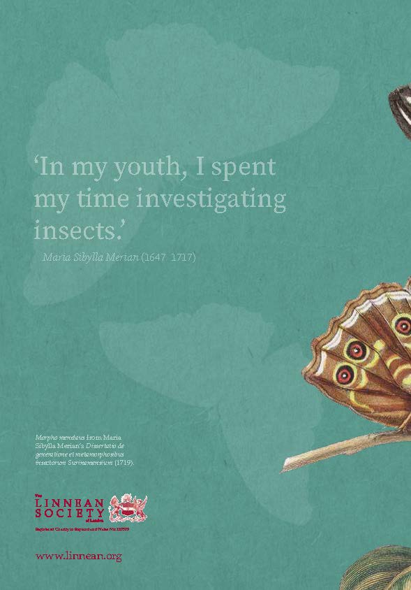 Back cover of light green notebook with butterfly illustrations and quote