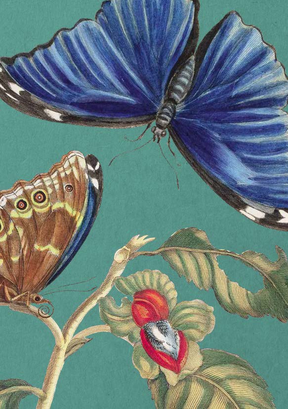 Notebook with illustration of butterflies on light green background