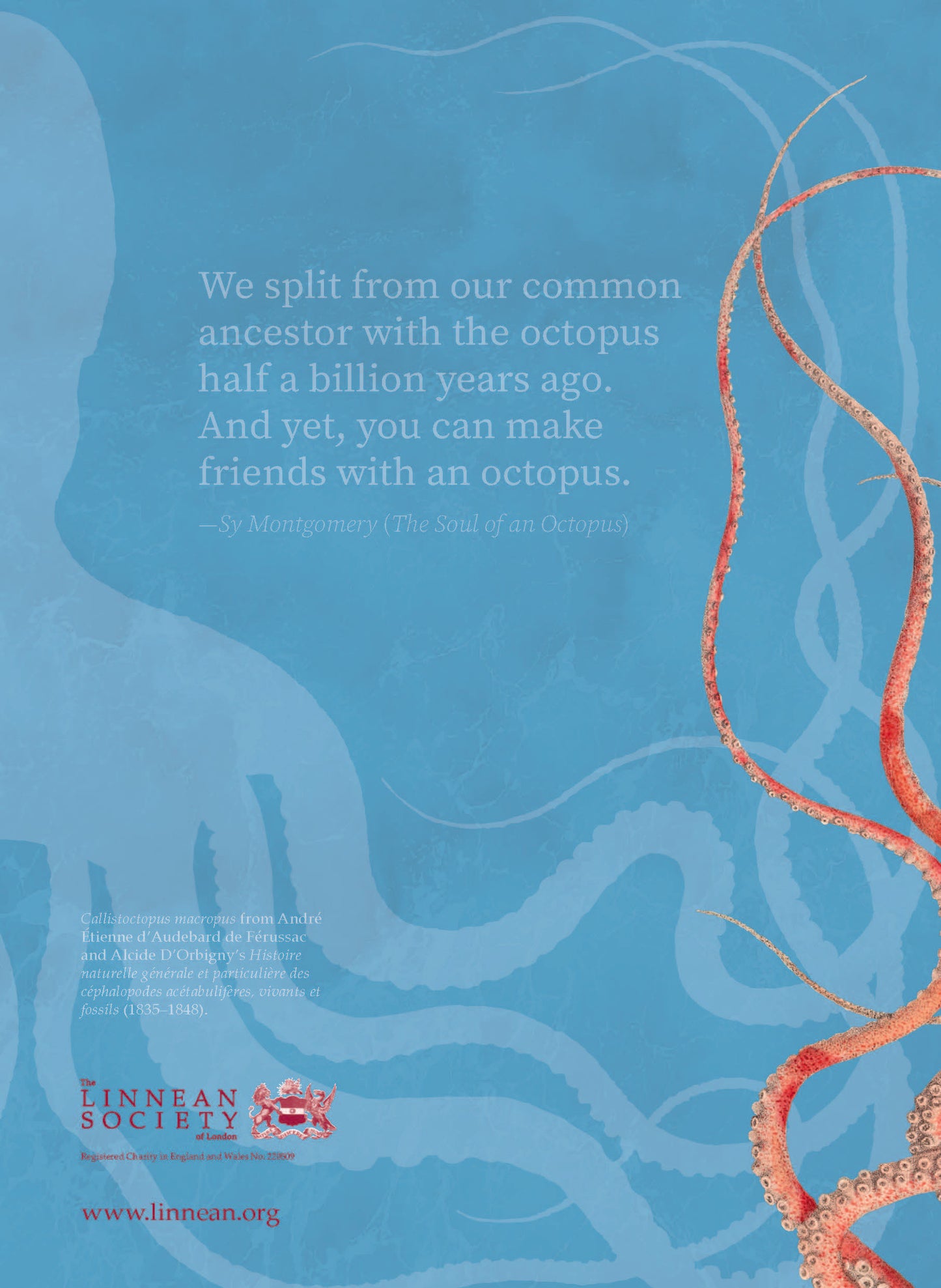 Back cover of blue notebook with octopus illustration and quote