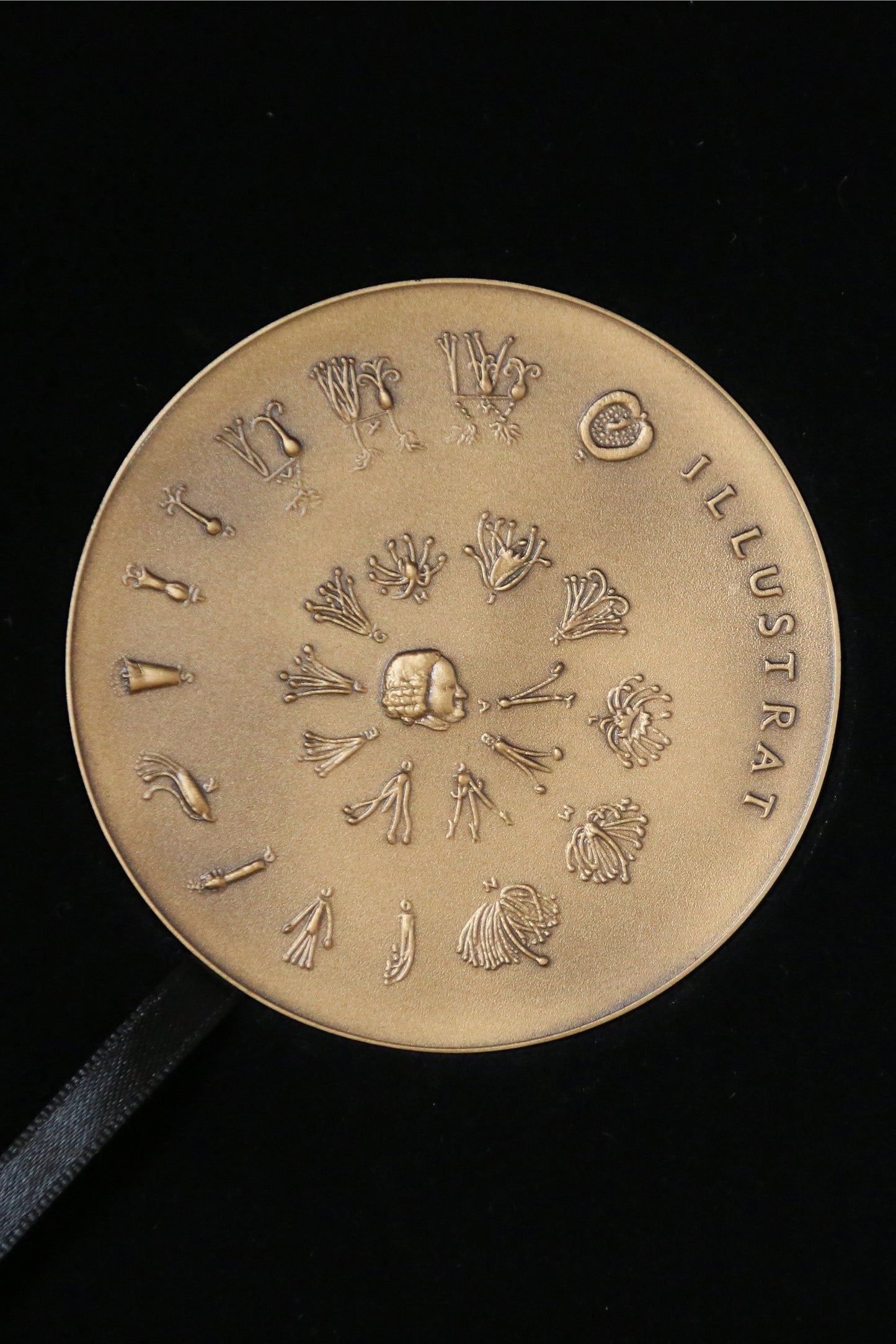 Reverse of bronze medal with Ehret's original illustration for Linneaus' Systema Naturae arranged in a spiral from a profile of Linnaeus.