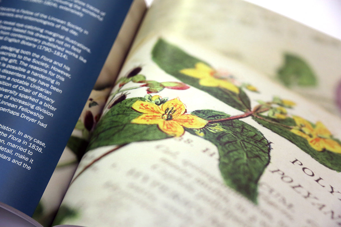 Book - L: 50 Objects, Stories & Discoveries from The Linnean Society of London Ed.2
