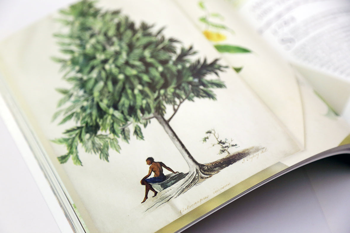 Book - L: 50 Objects, Stories & Discoveries from The Linnean Society of London Ed.2