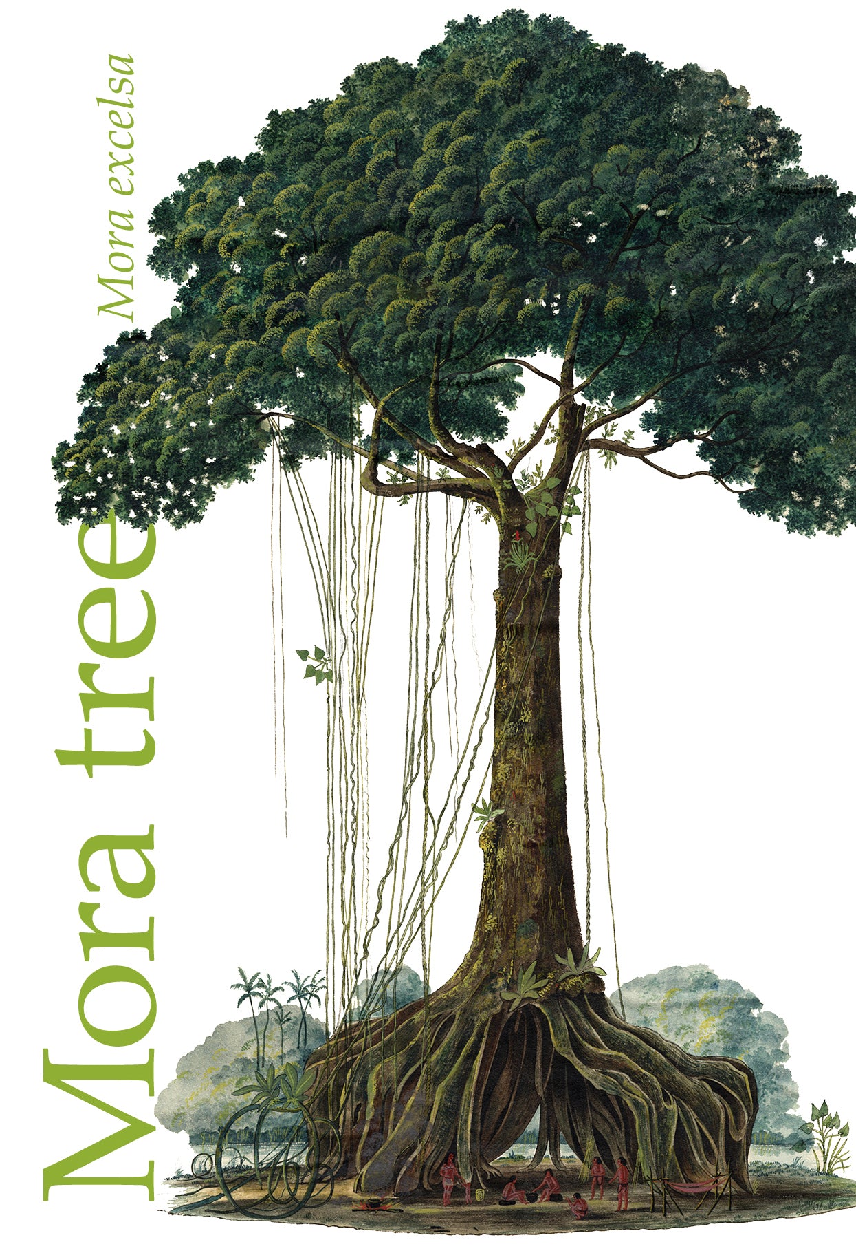 Illustrated large magnet of a mora tree