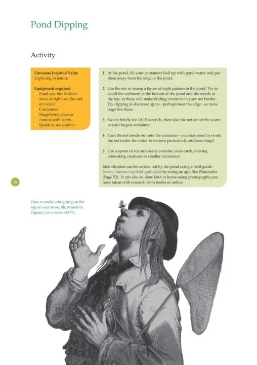 Inside page about pond dipping in book of nature activities for children