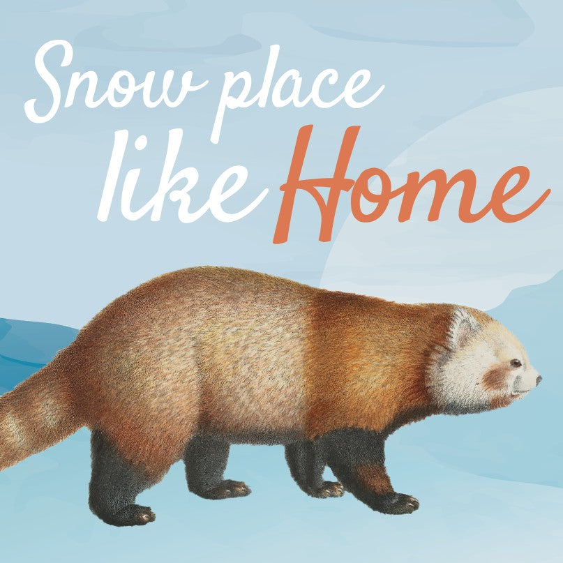 Christmas Cards - Snow Place Like Home