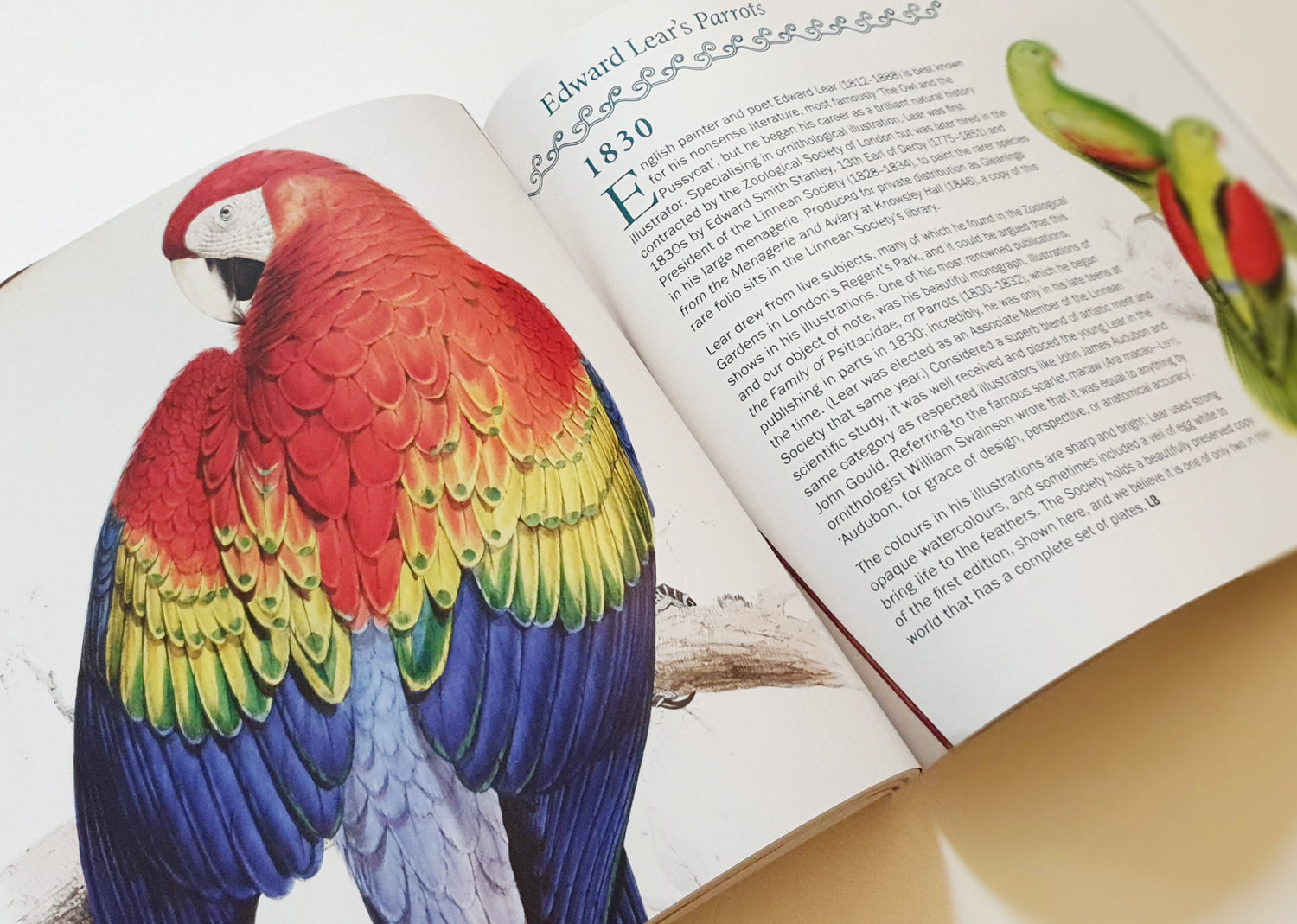 Book page showing Edward Lear's illustrated parrots