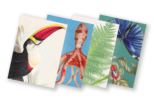 4 notebooks with illustrations of a toucan, octopus, fern and butterflies