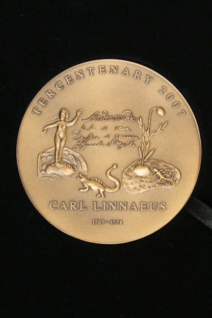 Obverse of bronze medal with Linnaeus' drawing of Andromeda from his Lapland journey