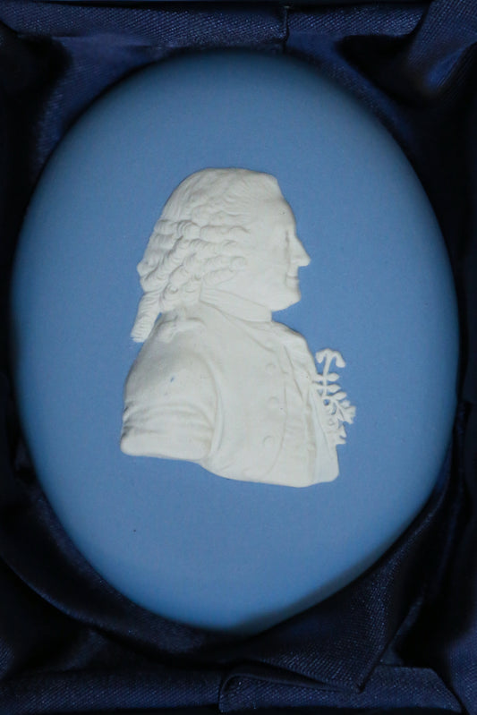Close up detail of Wedgwood medallion showing the profile of Carl Linnaeus