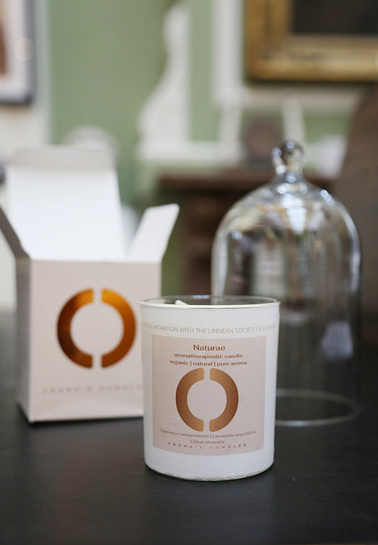 Naturae Candle
