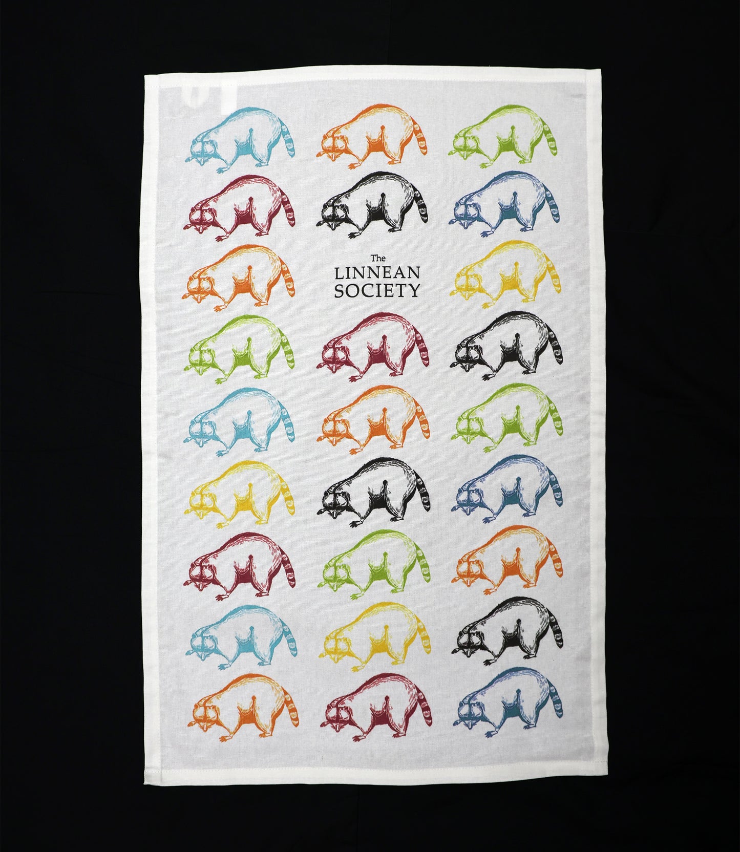 Tea towel - Raccoon