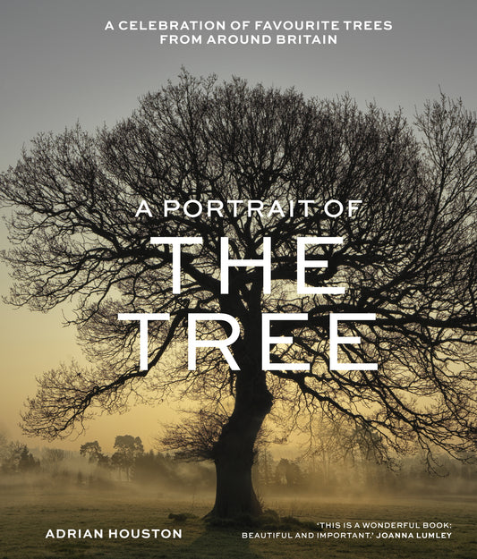 A Portrait of the Tree book front cover