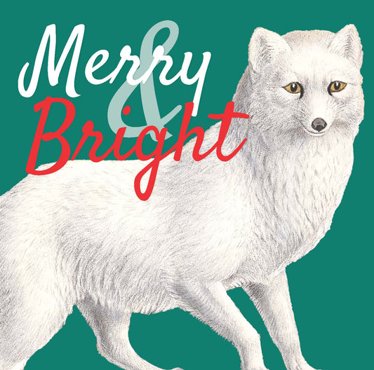 Christmas Cards - Merry & Bright