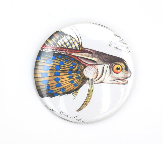 White pin badge with illustration of flying gurnard fish