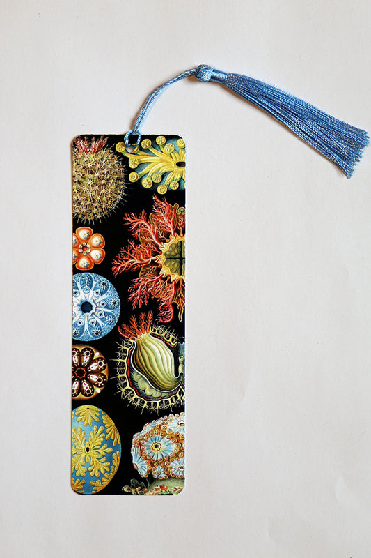 Bookmark - Ascidiae (sea squirts)