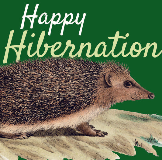 Christmas Cards - Happy Hibernation