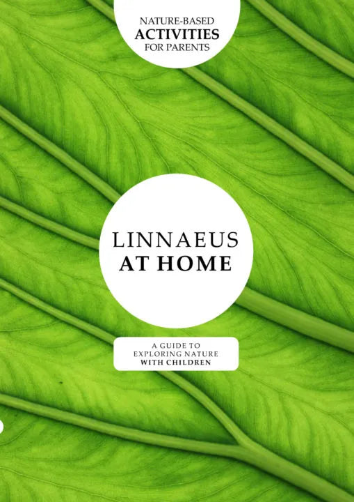 Linnaeus at Home nature activity book for children and families