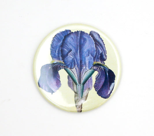 Iris flower botanical illustration fridge magnet