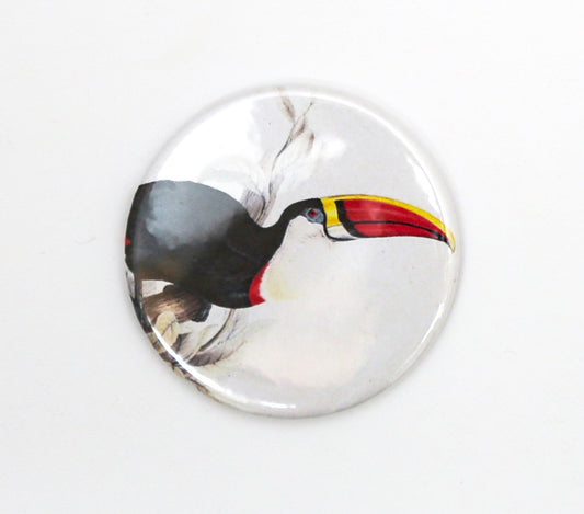 Fridge magnet with illustration of a toucan