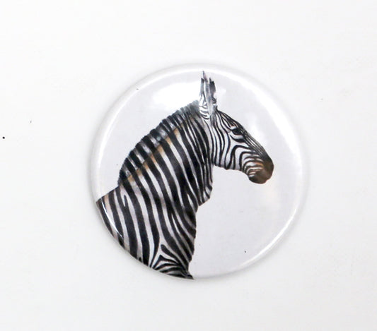Zebra illustrated fridge magnet
