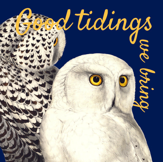 Christmas Cards - Good Tidings