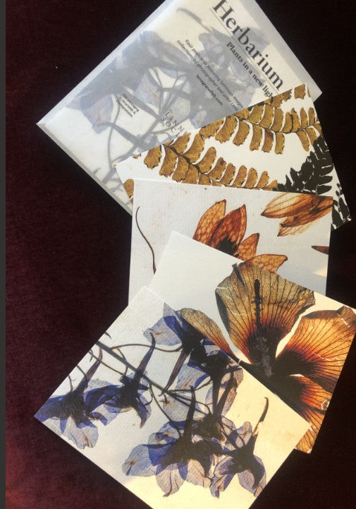 Postcard Set of 4 - Artist Lena Granefelt