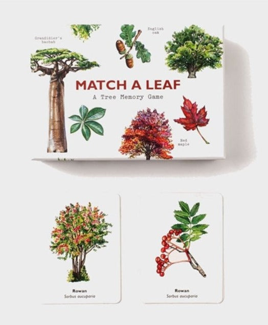 Match a Leaf tree memory game box and cards